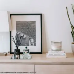 Stilvolle Inspiration für Ihre Dekoration: Ein Sideboard mit Lampe, gerahmtem Bild, Duftstäbchen und einer Topfpflanze.