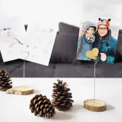 Selbstgemachte Fotohalter aus Holzscheiben und Draht mit Fotos von einem Paar und einem Vogel. Perfekt, um Erinnerungen zu präsentieren.
