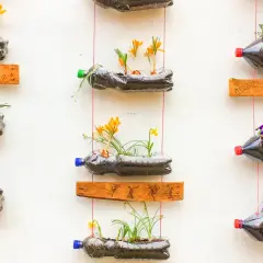 Kreative upcycling ideen: Blumen in Plastikflaschen, die an einer Wand hängen. Bunte Blüten und grüne Pflanzen sprießen aus den recycelten Behältern.