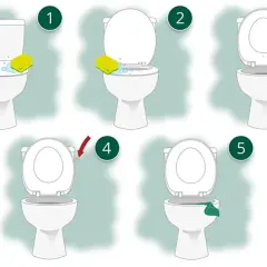 Schritt-für-Schritt-Anleitung zum klo reinigen: Schwamm mit Reinigungsmittel, spülen, Deckel heben, Spülung betätigen, trocknen.