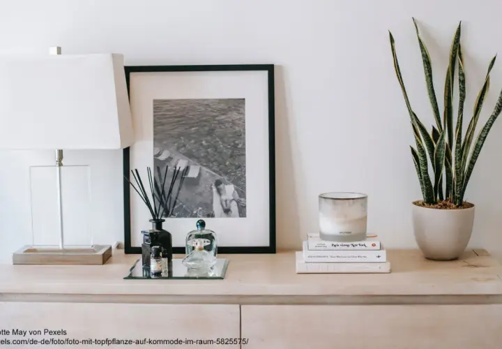 Stilvolle Inspiration für Ihre Dekoration: Ein Sideboard mit Lampe, gerahmtem Bild, Duftstäbchen und einer Topfpflanze.