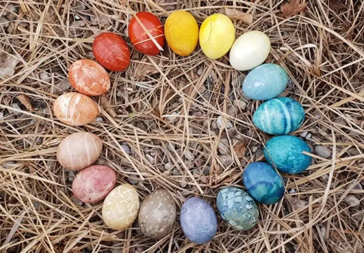 Bunte Ostereier, darunter auch einige braune Eier, bemalen und kunstvoll arrangiert auf trockenem Gras und Steinen.