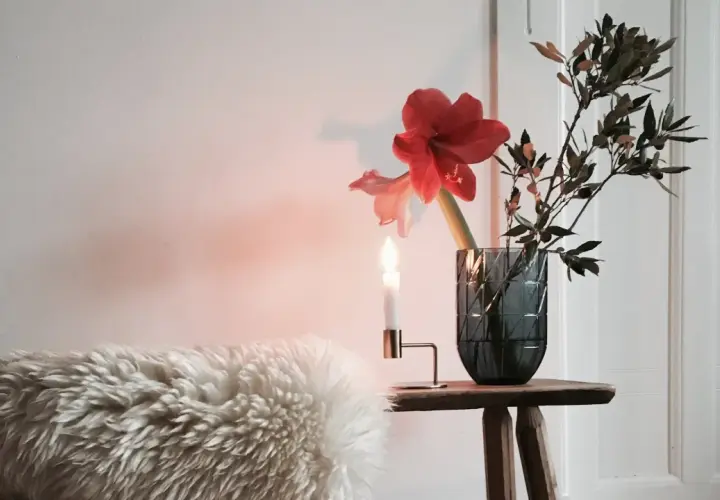 Rote Amaryllis in dunkler Vase, dekoriert mit Zweigen. Ein Kerzenlicht wirft warmen Schein auf das Arrangement und eine flauschige Decke.