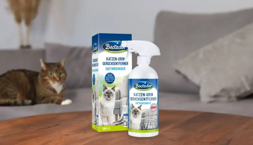 Bactador Enzymreiniger zur effektiven Neutralisierung von Katzenurin. Ein sauberer Haushalt für dich und deine Katze.