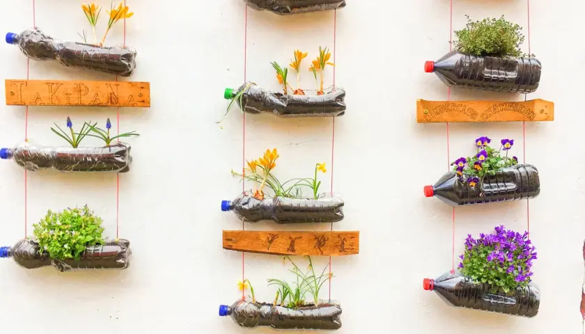 Kreative upcycling ideen: Blumen in Plastikflaschen, die an einer Wand hängen. Bunte Blüten und grüne Pflanzen sprießen aus den recycelten Behältern.