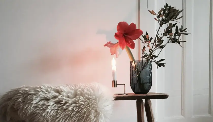 Rote Amaryllis in dunkler Vase, dekoriert mit Zweigen. Ein Kerzenlicht wirft warmen Schein auf das Arrangement und eine flauschige Decke.