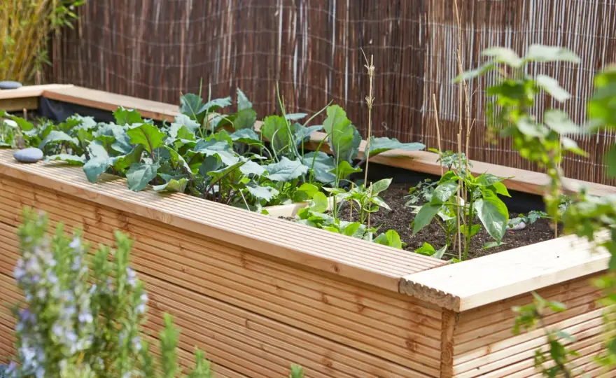 Hochbeet Ideen – So wird dein Garten wirklich schöner