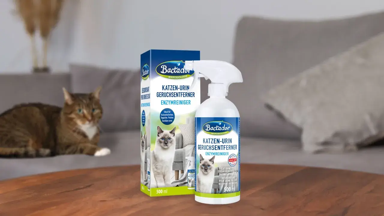 Bactador Enzymreiniger zur effektiven Neutralisierung von Katzenurin. Ein sauberer Haushalt für dich und deine Katze.