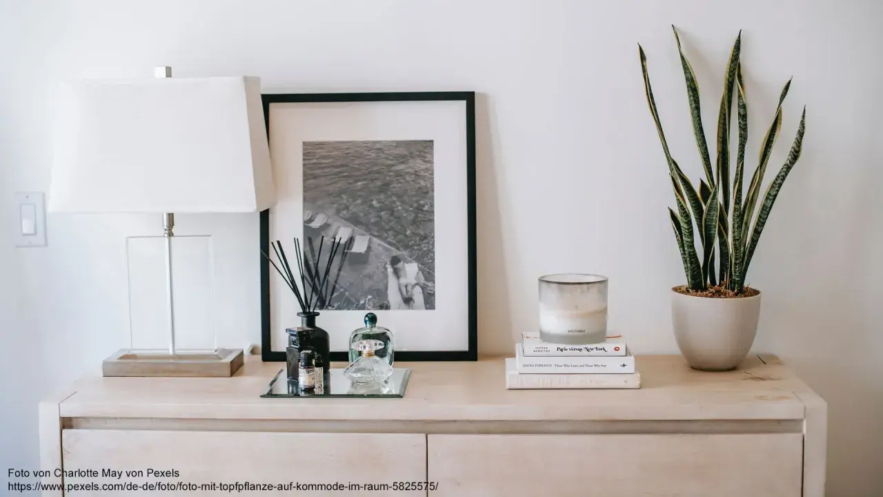 Stilvolle Inspiration für Ihre Dekoration: Ein Sideboard mit Lampe, gerahmtem Bild, Duftstäbchen und einer Topfpflanze.