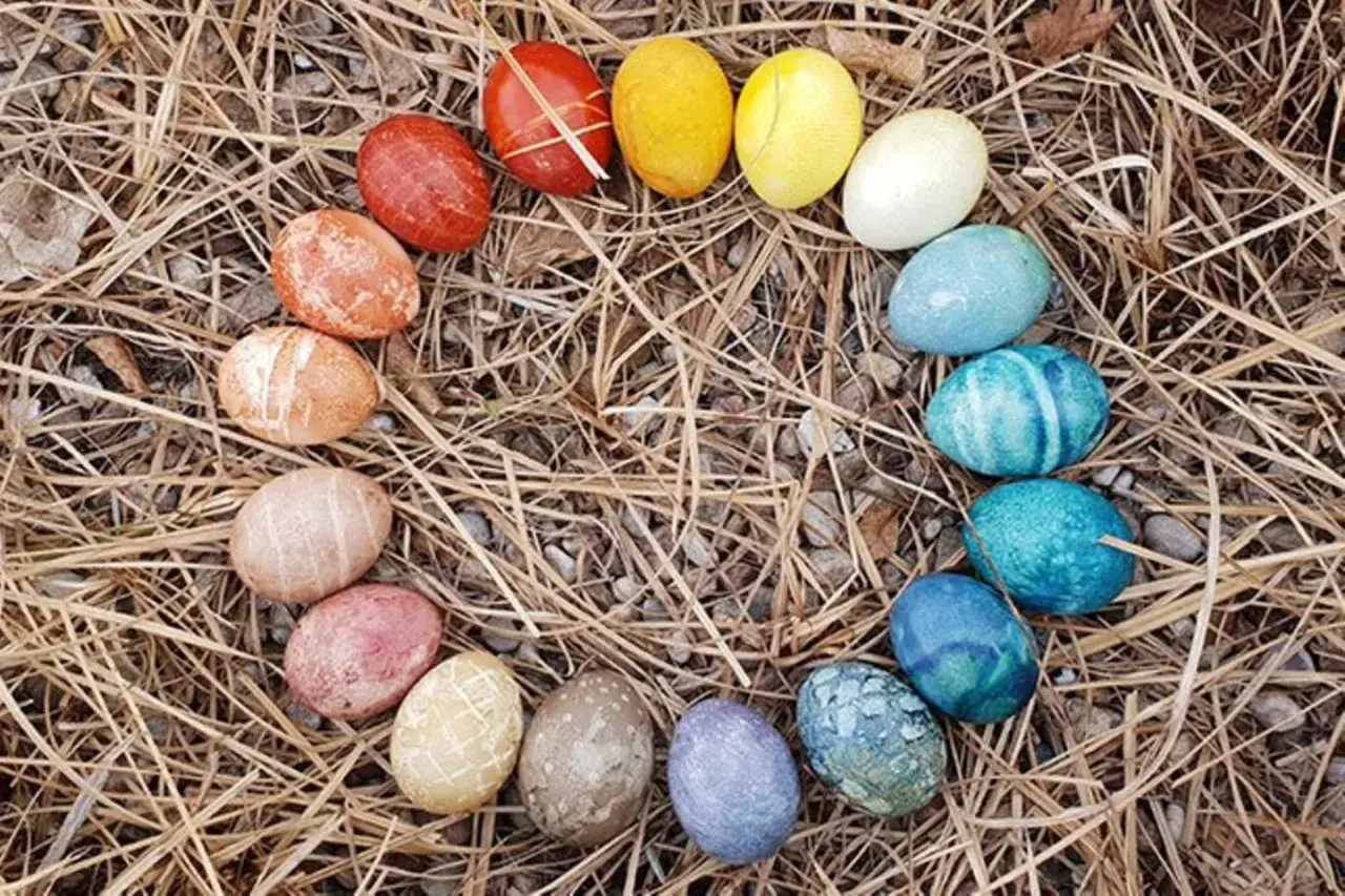 Bunte Ostereier, darunter auch einige braune Eier, bemalen und kunstvoll arrangiert auf trockenem Gras und Steinen.
