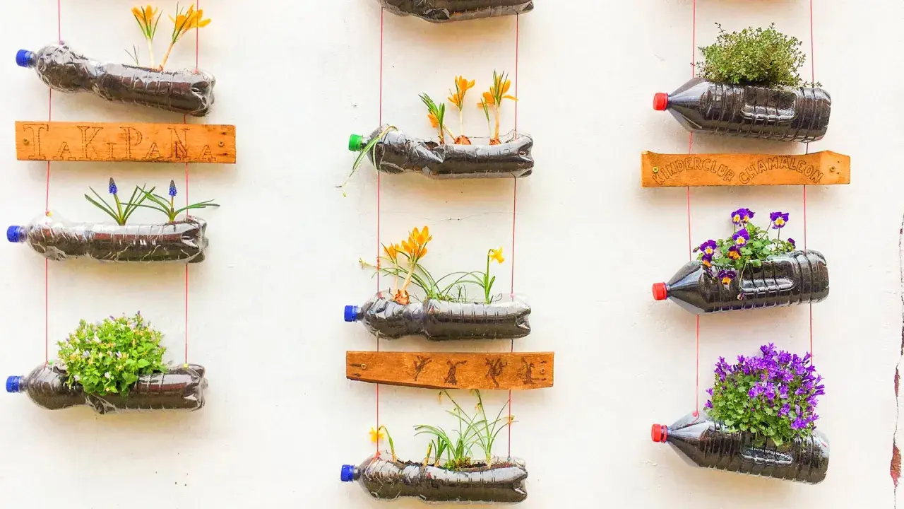Kreative upcycling ideen: Blumen in Plastikflaschen, die an einer Wand hängen. Bunte Blüten und grüne Pflanzen sprießen aus den recycelten Behältern.