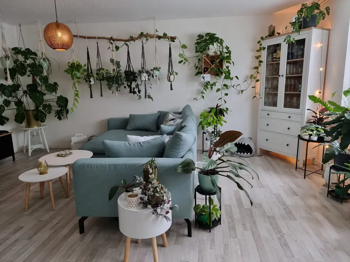 Gemütliches Wohnzimmer mit vielen Pflanzen als Deko-Ideen. Hängende Pflanzen und ein großer Monstera-Baum schaffen eine grüne Oase.