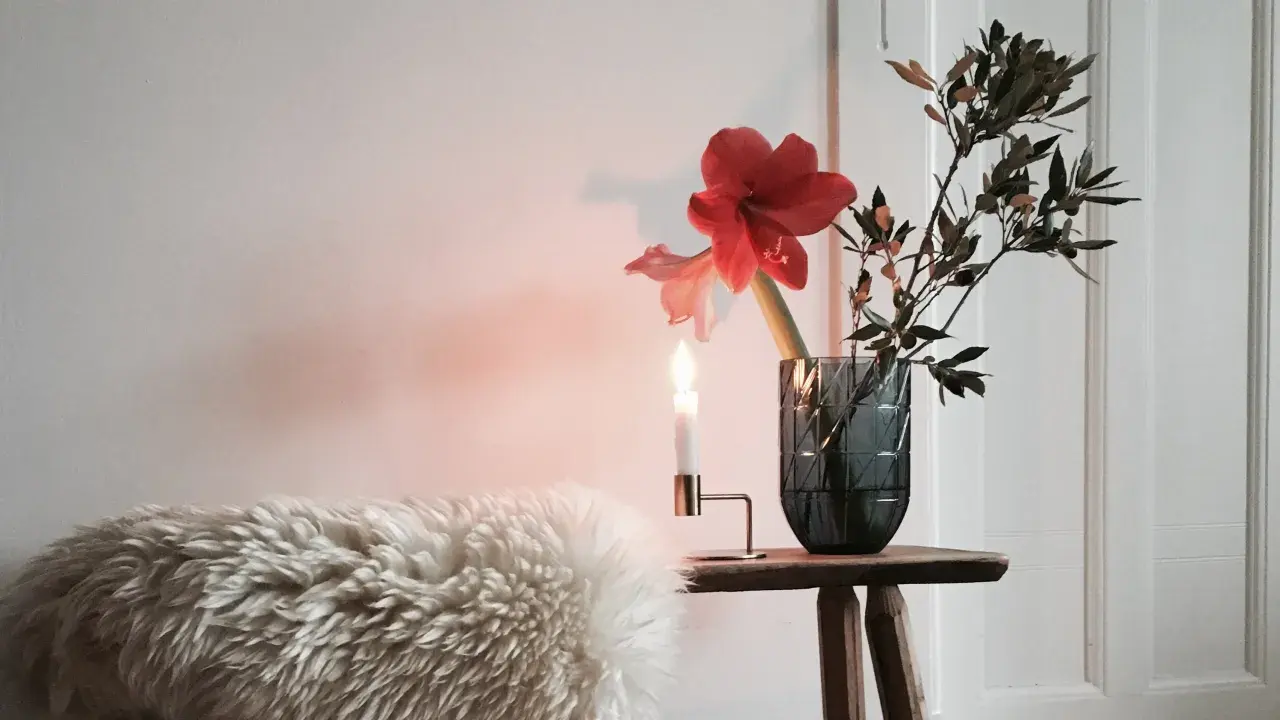 Rote Amaryllis in dunkler Vase, dekoriert mit Zweigen. Ein Kerzenlicht wirft warmen Schein auf das Arrangement und eine flauschige Decke.