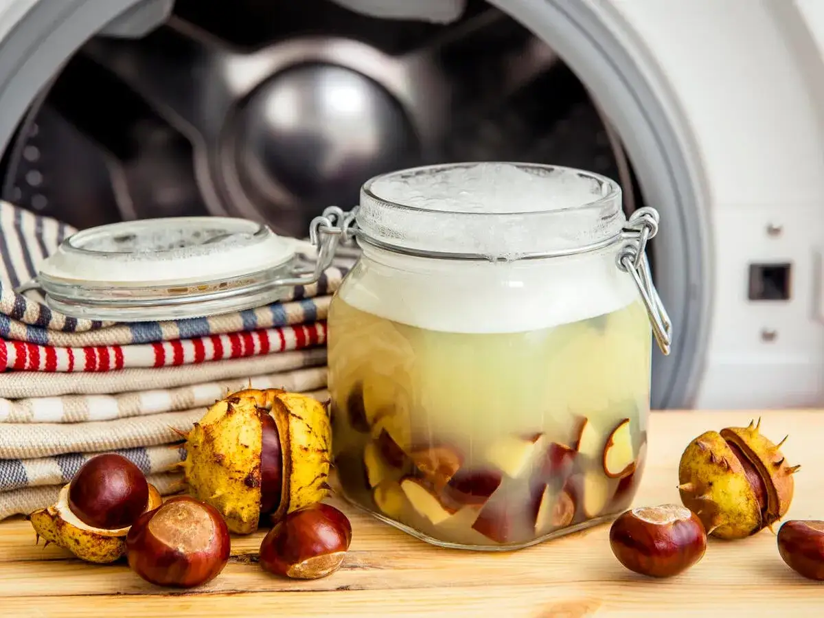 Selbstgemachtes Waschmittel aus Kastanien in einem Glas, neben frischen Kastanien und Wäsche vor einer Waschmaschine.