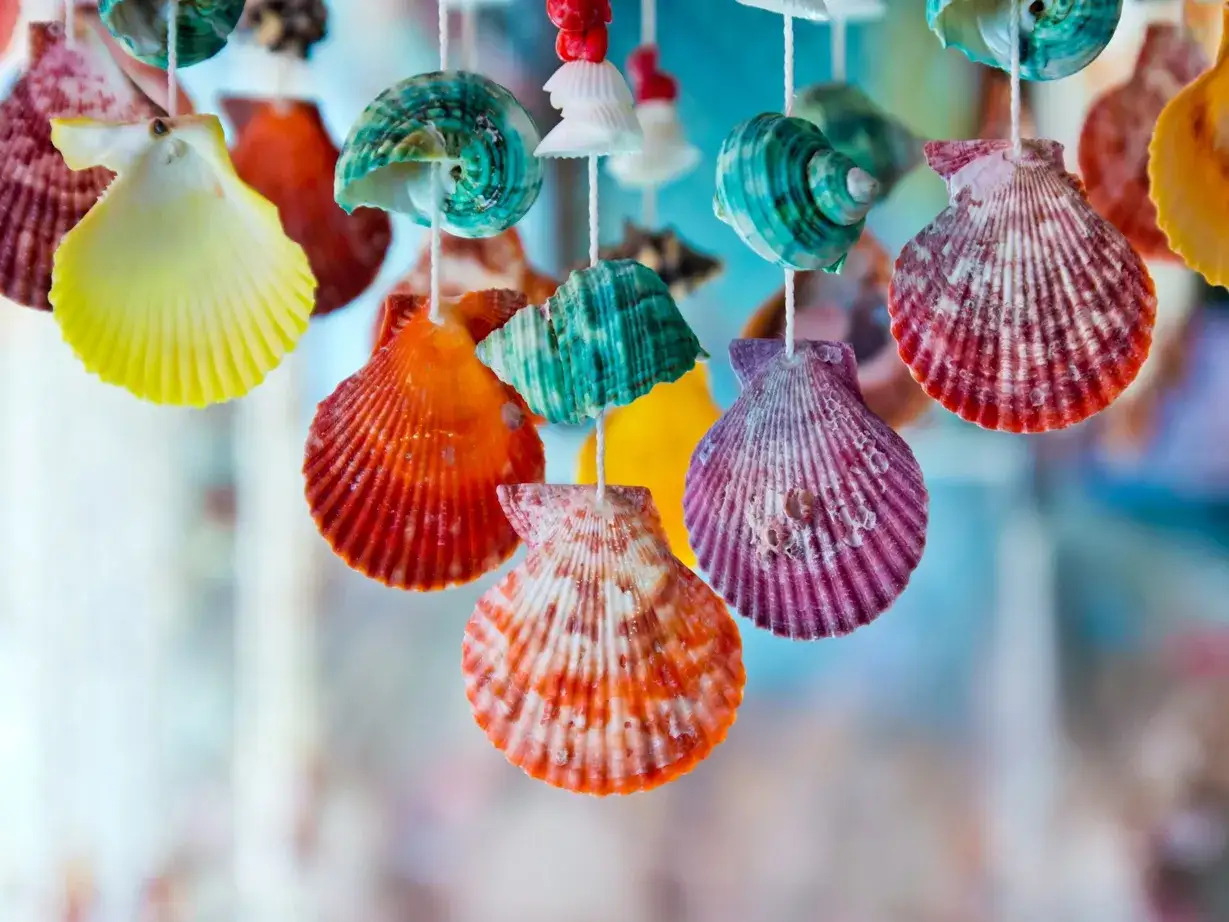 Bunte Muscheln, die zum Basteln mit Muscheln verwendet werden, h&auml;ngen an Schn&uuml;ren. Sie sind in verschiedenen Farben wie Gelb, Orange, Gr&uuml;n und Lila gef&auml;rbt.