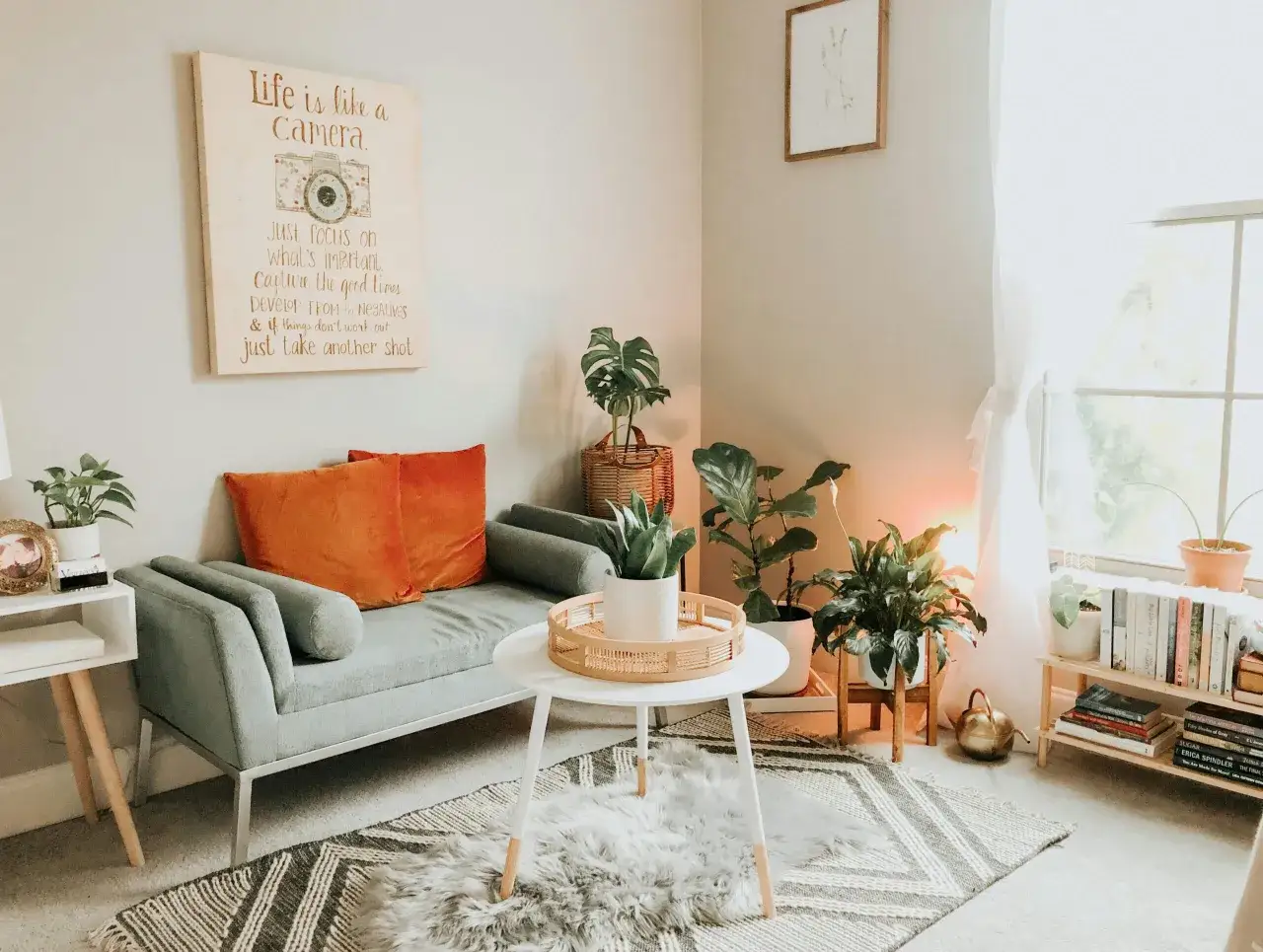 Gemütliches Wohnzimmer mit Sofa, Pflanzen und Bücherregal. Tolle Einrichtung Beispiele für ein entspanntes Ambiente.