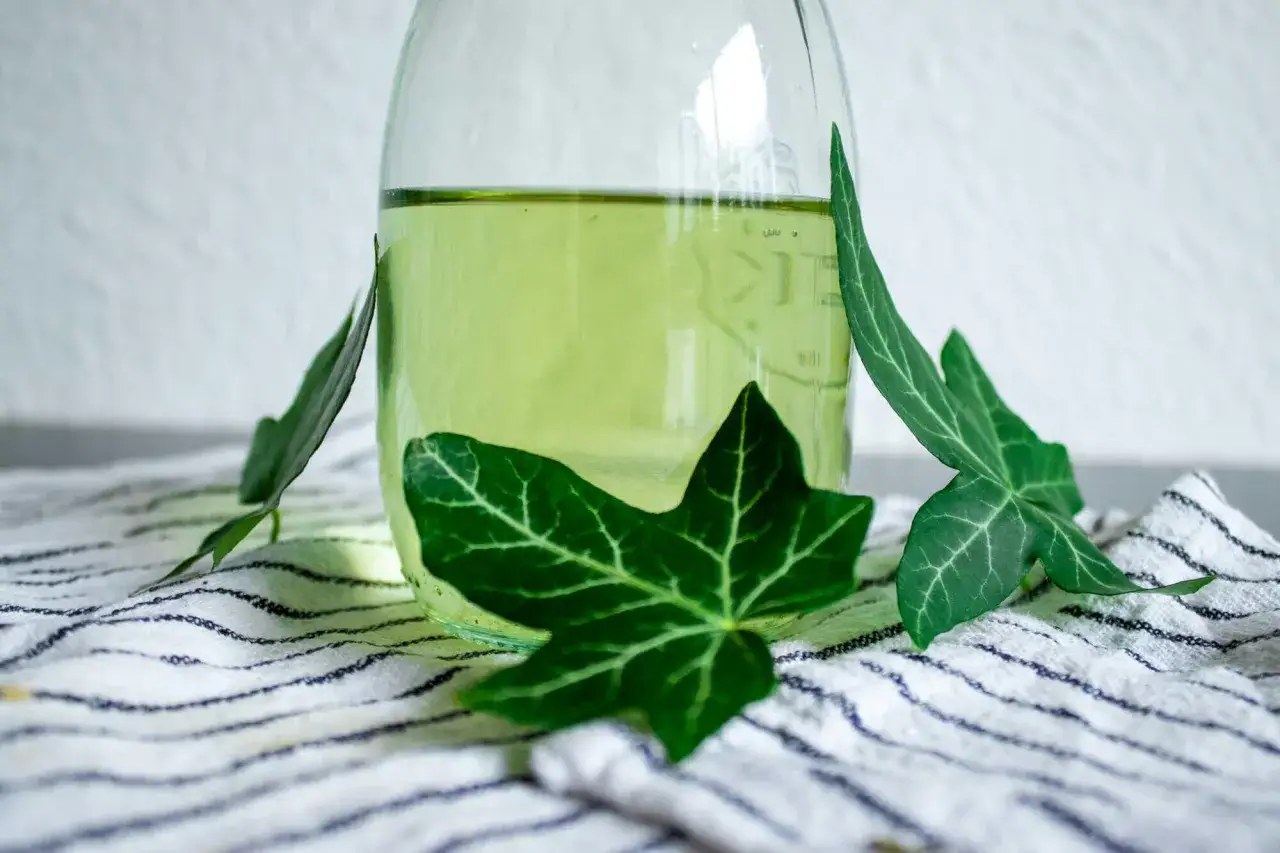 Grünes, klares Flüssigkeit in einem Glasbehälter, umgeben von Efeublättern. Vielleicht ein natürliches Efeu Waschmittel?
